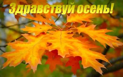 Скоро осень | Пикабу