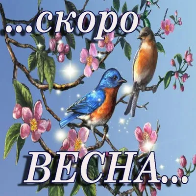 Скоро весна | Пикабу