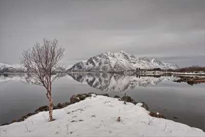 Скоро зима | Личное мнение | Дзен