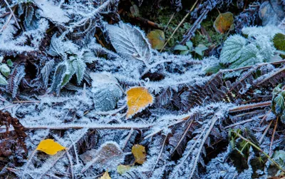 ❄ПОВТОР АРТ-КЛАССА «СКОРО ЗИМА»! ❄ - Музей истории молодёжного движения, г.  Рязань