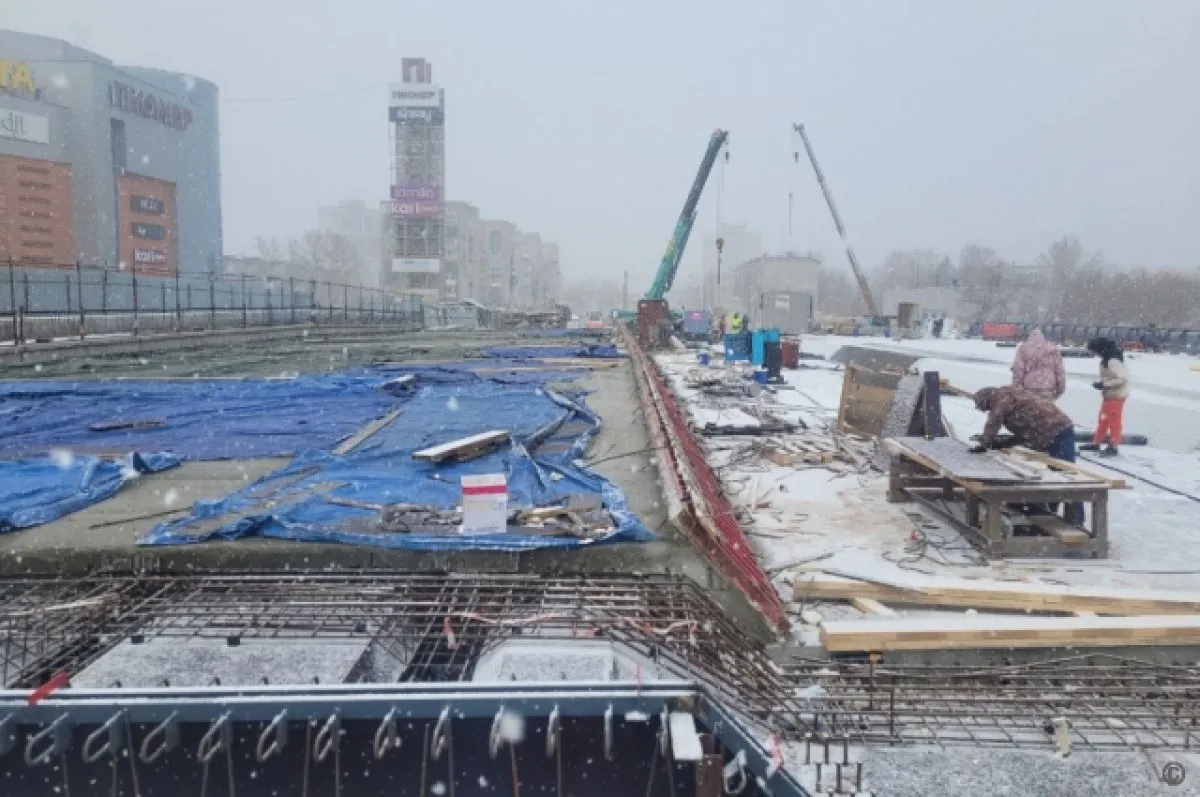 Барнаул, заповедный сталианс Барнаул, заповедный сталианс