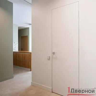Межкомнатные скрытые двери под покраску в каркасе из алюминия арт. 1003,  Москва