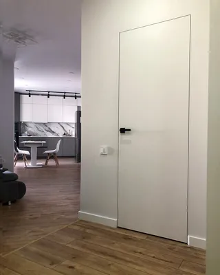 Межкомнатная скрытая дверь под окраску Profil Doors 0PE Invisible Revers с  алюминиевой кромкой с внутренним открыванием – купить в Москве по цене 15  904 руб. в интернет-магазине Дверцов.