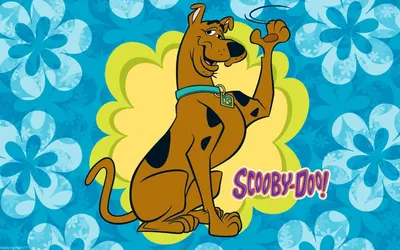 Обои Скуби ду | Scooby doo images, Scooby doo pictures, Scooby doo halloween