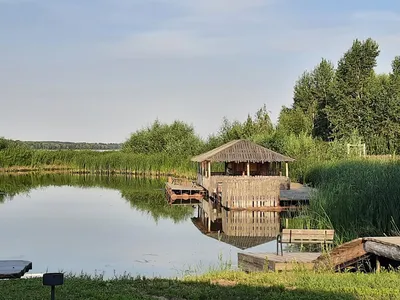 комната, загородный клуб, база отдыха, уютный дом, славянское подворье  ульяновск номера домиков, Свадебный декор Москва