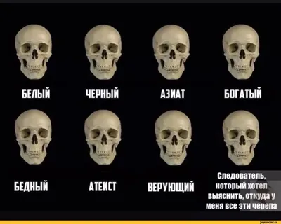 Как обезопасить себя от кибермошенников — следователь милиции Джантай  Базарбаев – Сводка АКИpress