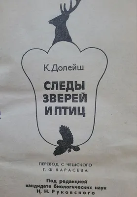 След ноги животных и птиц живой природы, животная лапка печатает комплект  вектора Следы ноги разнообразия животных, иллюстрации Иллюстрация вектора -  иллюстрации насчитывающей ворона, кулик: 110910872