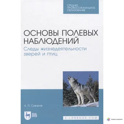 Основы полевых наблюдений. Следы жизнедеятельности зверей и птиц, Суворов  А. П., Издательство Лань, 2023 г. - купить книгу, читать онлайн  ознакомительный фрагмент