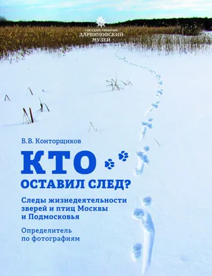 Большой Набор Животных И Птиц След Шаги Отпечатки На Белом — стоковая  векторная графика и другие изображения на тему Отпечаток ноги - iStock