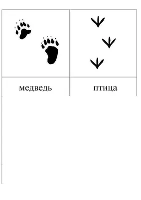 Следы Животных И Птиц Следы След Шагов Отпечатков Изолирован На Белом Цвете  — стоковая векторная графика и другие изображения на тему Корова - iStock