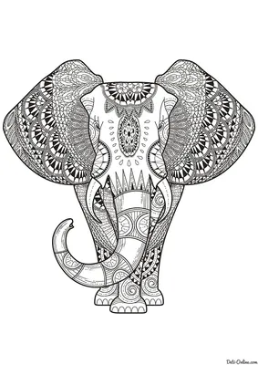 Раскраска Слон | Elephant coloring page, Mandala coloring pages, Paisley  coloring pages