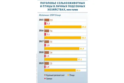 Изображения лошадей с неизвестными патологиями: фото