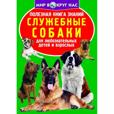 Служебные собаки полиции Балаково: унюхают что угодно | 27.06.2022 |  Балаково - БезФормата