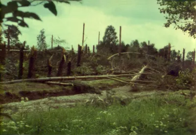 Фото \"По следу смерча\", 10 июня 1984, Ивановская обл., г. Иваново - История  России в фотографиях