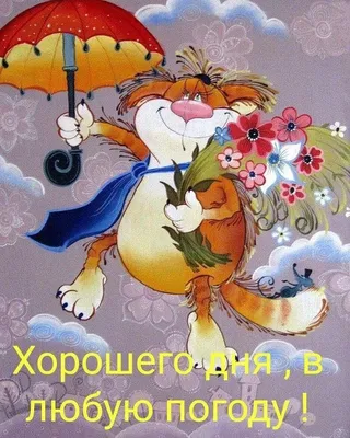 Необычные картинки \"Добрый вечер!\" (225 шт.)