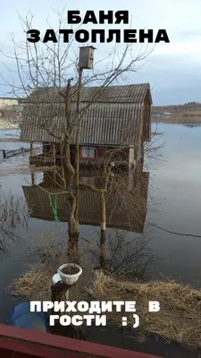 В баню за дотацией | Прикол.ру - приколы, картинки, фотки и розыгрыши!