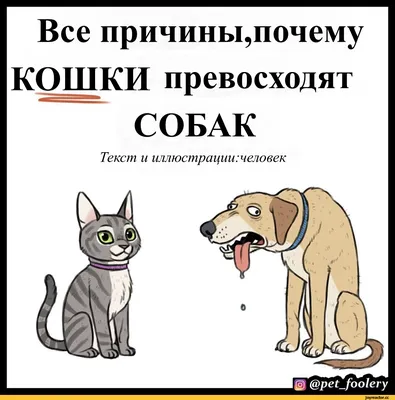 pet_foolery :: перевел сам :: Смешные комиксы (веб-комиксы с юмором и их  переводы) / смешные картинки и другие приколы: комиксы, гиф анимация,  видео, лучший интеллектуальный юмор.