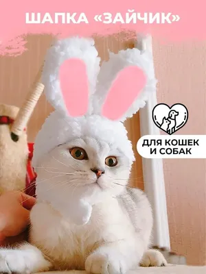 Шапка для кошек и собак шапочка для кота уши зайца смешные PETSROOM  24735657 купить за 264 ₽ в интернет-магазине Wildberries