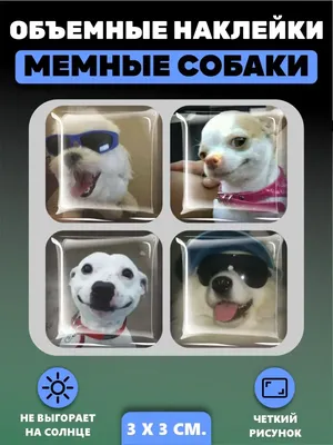 Фан Собак 】Dog's team — профиль пользователя в Шедевруме