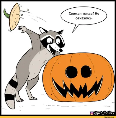 Хеллоуин (Halloween -приколы на хеллоуин - прикольные костюмы, тыквы, шутки  и юмор про хелоуин) :: праздник / смешные картинки и другие приколы:  комиксы, гиф анимация, видео, лучший интеллектуальный юмор.