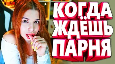 Я РЖАЛ ДО СЛЕЗ / СМЕШНЫЕ ЖИВОТНЫЕ / КОТЫ СОБАКИ И ПРОЧИЕ / приколы с  животными | Блог Наталья. Е.Черных | КОНТ