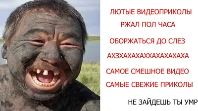 Самые смешные картинки с надписями до слез - Тут забавно !!!