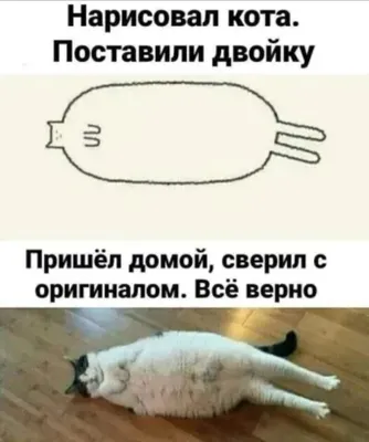 Смешные мемы