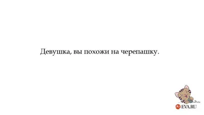 Мужская футболка П - Программист бесит зарплатой Прикол — купить по цене  1695 руб в интернет-магазине #3081339