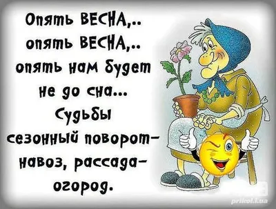 Просто юмор в ленту) | Садоводы-огородники-цветоводы России | ВКонтакте