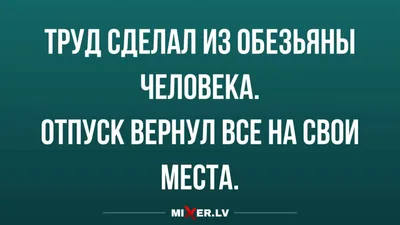 Юмор за день и отпуск | Mixnews