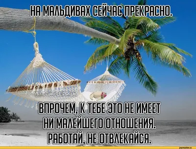 Приколы про отдых, или Что значит отдых? / Некто Нечто