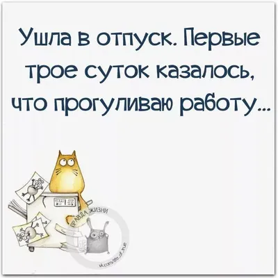 Что это пролетело? Мой отпуск»: самые смешные мемы про отдых -  Рамблер/субботний