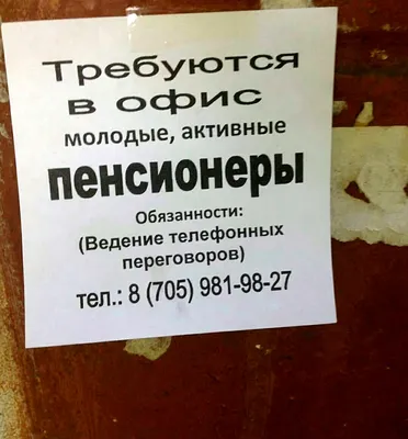 На пенсии жизнь только начинается: люди старшего возраста находят  интересные хобби, новых друзей и заботятся о своём здоровье » Осинники,  официальный сайт города