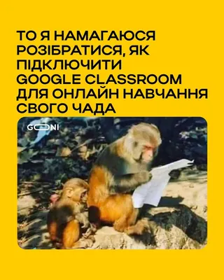 ПХПХХПХ 😂 СМЕШНЫЕ ЗАМЕЧАНИЯ в ШКОЛЕ 😂 ВЕСЕЛЫЕ ИСТОРИИ со ШКОЛЫ моих  ПОДПИСЧИКОВ - YouTube