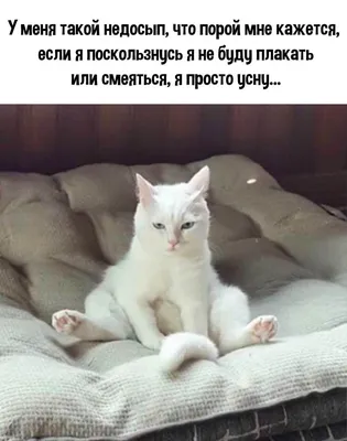 Наша Психология - #анекдот #усталость #жизнь #юмор #шутки... | Facebook