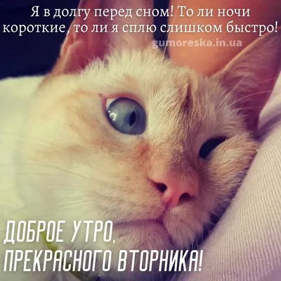 Открытки \"Доброго утра!\" во вторник (100+)