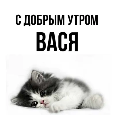 Как Вася Шпрот за свою подлость расплатился. | О технике, и не только. |  Дзен