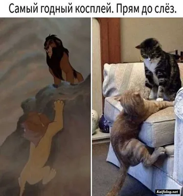 Смешные картинки