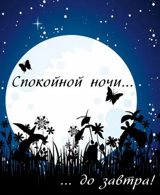 спокойной ночи: 10 тыс изображений найдено в Яндекс.Картинках | Ночь, Спокойной  ночи, Юмор про сон