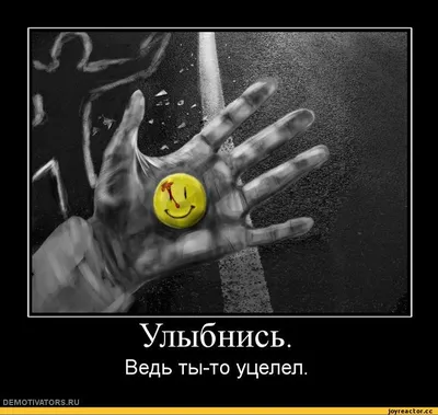 Улы Ведь ты DEMOTIVATORS.RU то уцелел / смешные демотиваторы (ДЕЙСТВИТЕЛЬНО  СМЕШНЫЕ новые лучшие демотиваторы со смыслом 2011, demotivators смешно,  демотивация, демативаторы, димативаторы ) / смешные картинки и другие  приколы: комиксы, гиф анимация,