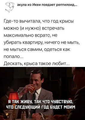 ВКонтакте назвала главные мемы 2021 года: пользователи выбрали кота Бендера  и шутку про «рыбов», рождённую в соцсети | Блог ВКонтакте | ВКонтакте