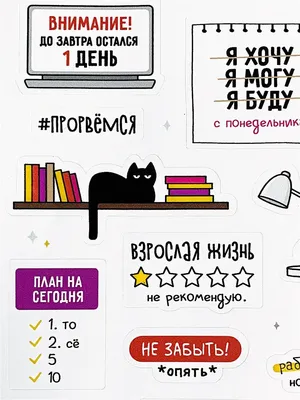 Мемы о 8 Марта – юмор, смешные картинки и приколы - Fun | Сегодня