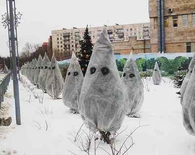 Фотографии новогодних елок: Скачай их в нужном формате | Смешные новогодние  елки Фото №830806 скачать