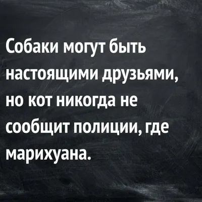 Веселые комментария и картинки от пользователей соцсетей