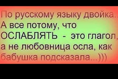 Смешные высказывания из социальных сетей в картинках