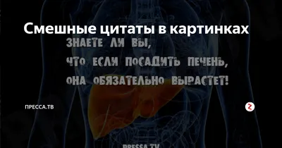 смешные цитаты надписи типографии я извиняюсь я закатил глаза вслух PNG ,  смешно, цвета, фраза PNG картинки и пнг рисунок для бесплатной загрузки