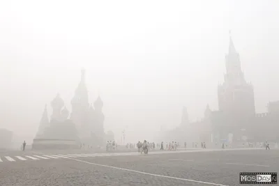 Смог в Москве 2010 :: Алексей Окунеев – Социальная сеть ФотоКто