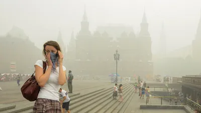 Самое жаркое за полвека». Почему сегодняшний смог в Москве не стоит  сравнивать с аномалией 2010 года - Мослента