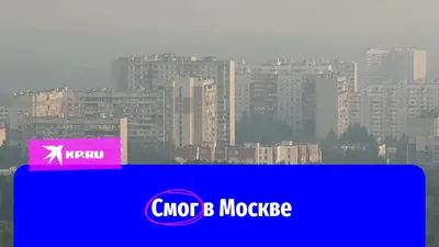 Смог в Москве 2022 - карта и прогнозы синоптиков