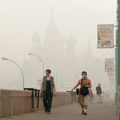 Самое жаркое за полвека». Почему сегодняшний смог в Москве не стоит  сравнивать с аномалией 2010 года - Мослента